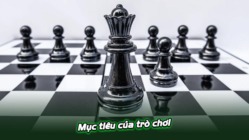 Hướng dẫn chơi cờ và chiến thuật giúp thắng tiền từ đối thủ